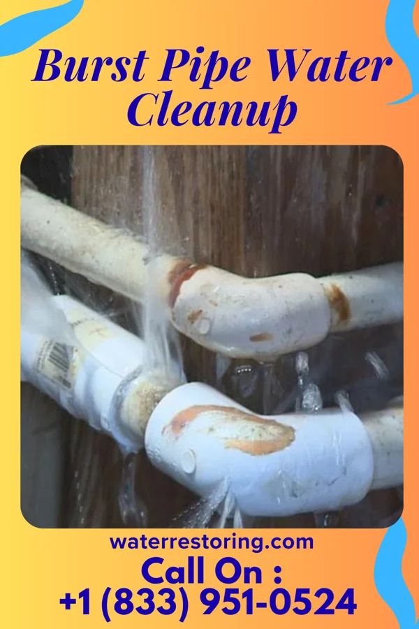 Burst Pipe Water Cleanup in Rolette, ND