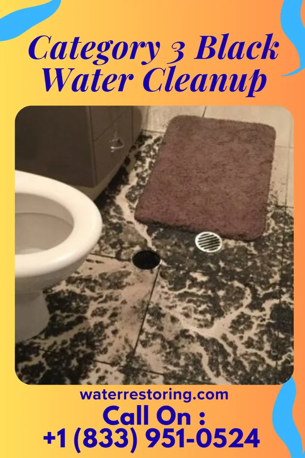 Category 3 Black Water Cleanup in Rolette, ND