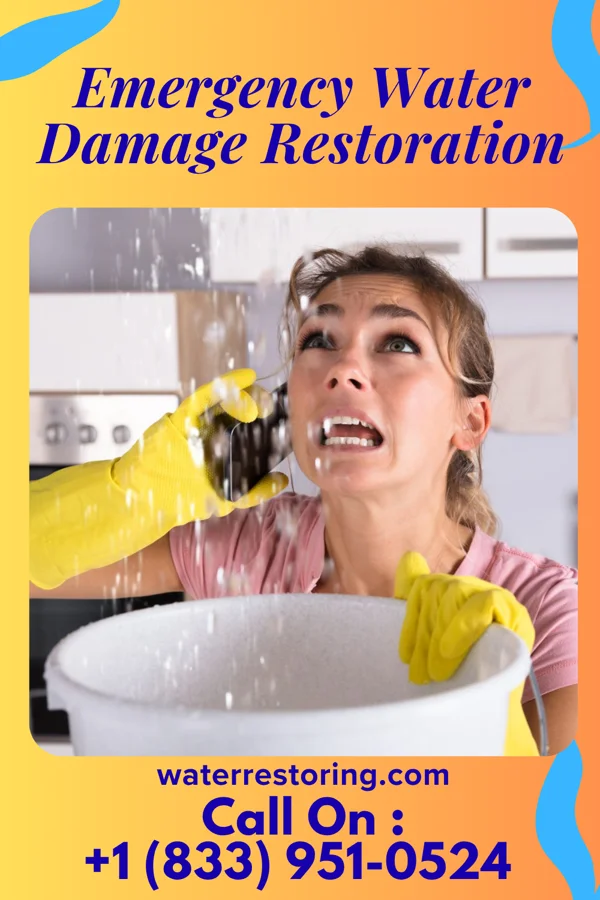 Emergency Water Damage Restoration in Rolette, ND
