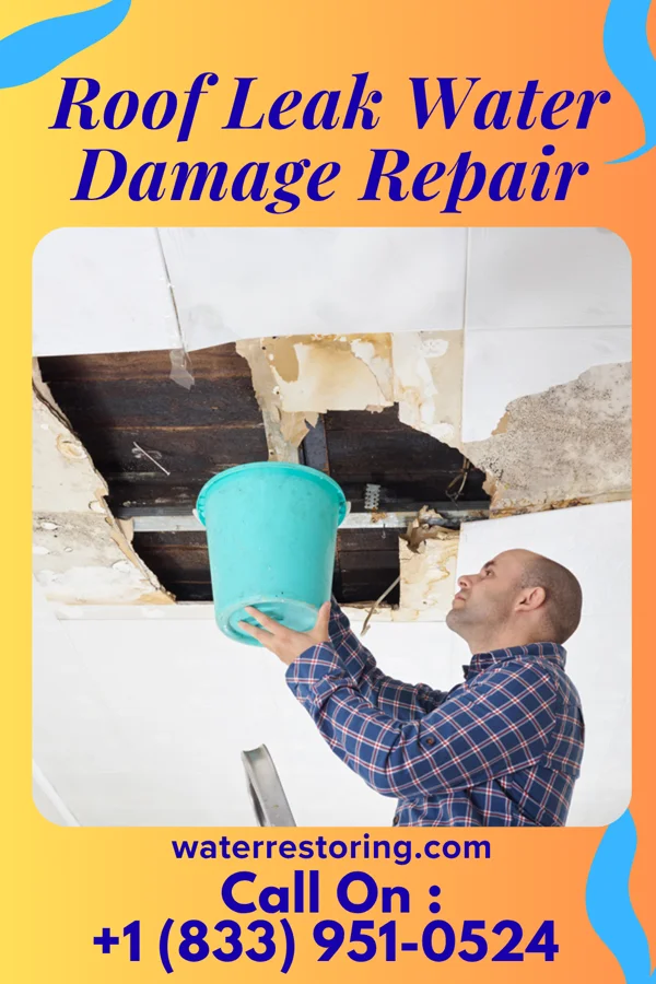 Roof Leak Water Damage Repair in Rolette, ND
